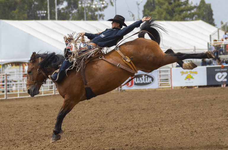Volunteer alongside us at 2026 California Rodeo