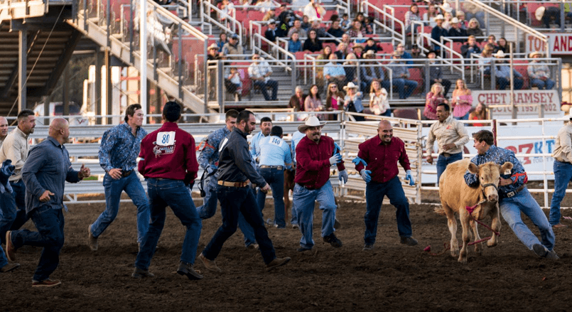 Volunteer alongside us at 2026 California Rodeo